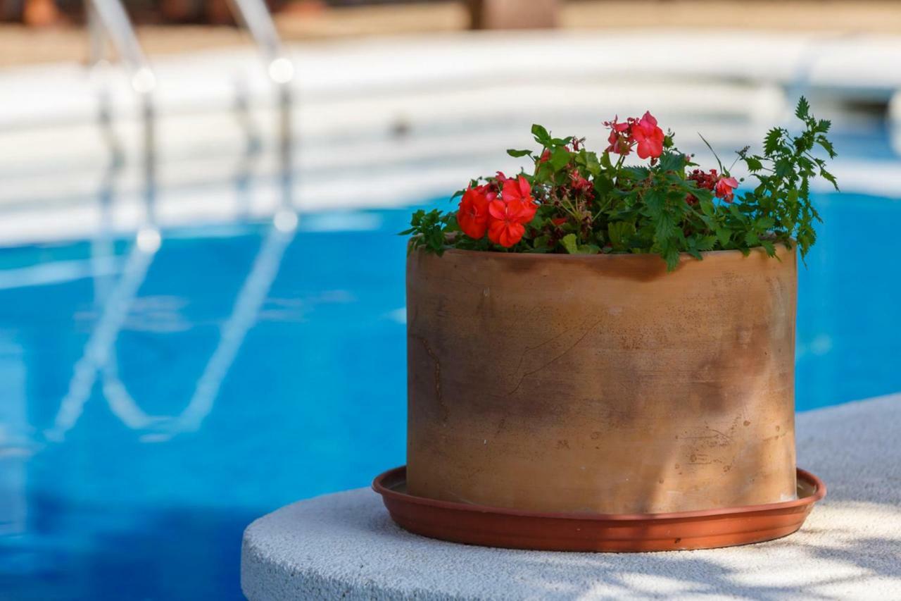 Casita Las Malvinas En Villa De Nijar Con Piscina Extérieur photo